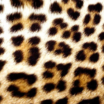 Леопардовый принт в интерьере